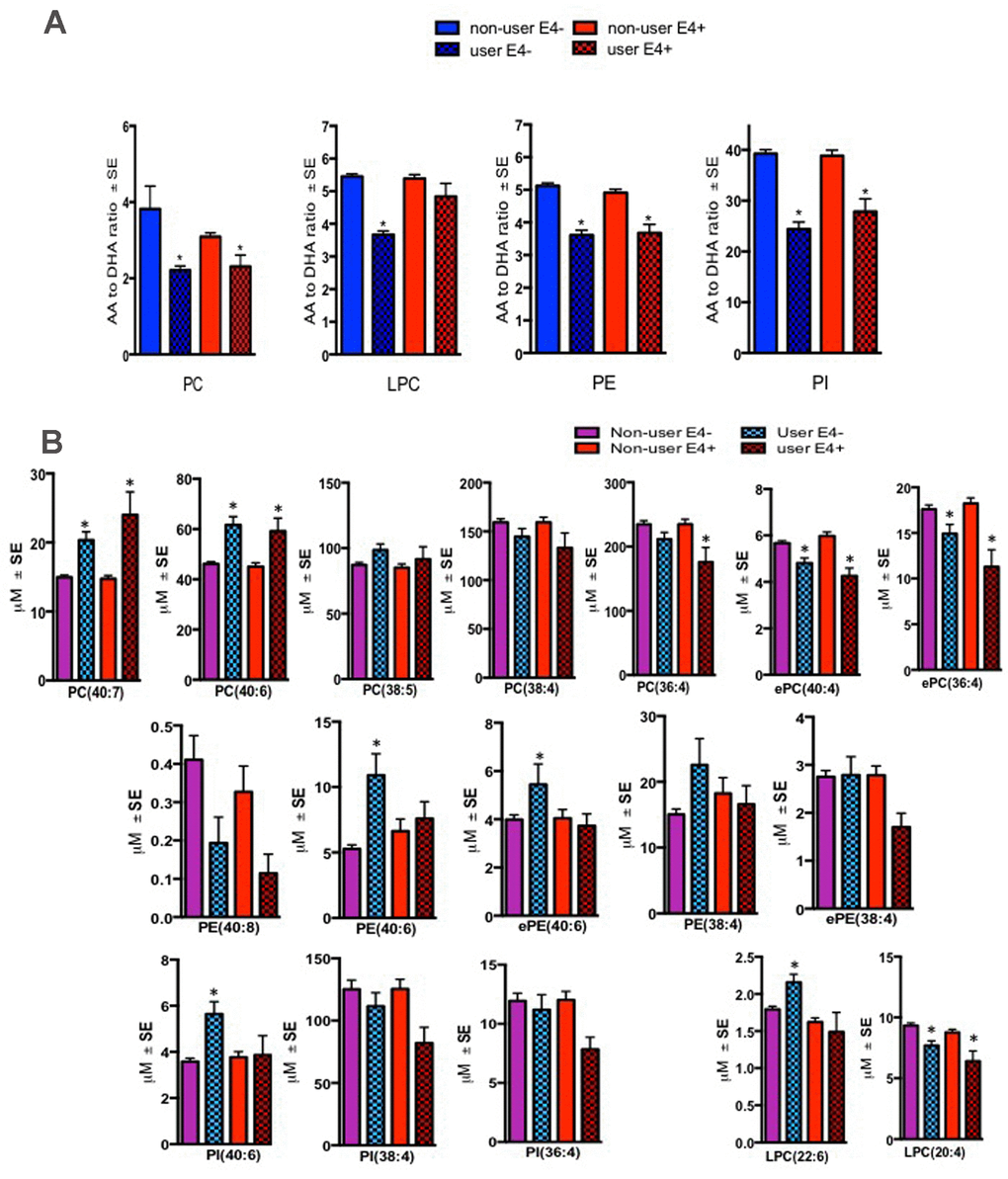 Effect of fish oil/omega-3 supplement use on the AA and DHA containing species within blood PL classes. Mean ± SE(17 ε4- controls and 5 ε4 controls) for subjects who reported yes for using fish oil/omega-3 supplement. (A) Relative to non-users, ratios of AA to DHA were decreased in several PL classes in both ε4- and ε4+ controls who reported using fish-oil/omega-3 supplements. (B) Individual AA species (ePC(36:4), ePC(38:4), PC(36:4), LPC(20:4)) were generally decreased whereas DHA containing species (PC(40:6), PC(40:7), ePE(40:6), PE(40:6), and PI(40:6) were increased in several PL classes in both ε4- and ε4+ controls who reported using fish-oil/omega-3 supplements. While LPC(22:6) was increased in supplement users with ε4- genotype, levels of this lipid did not change in ε4+ individuals. *p 