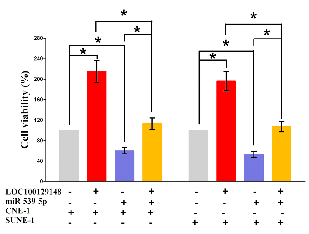Up-regulated miR-539-5p in CNE-1 and SUNE-1 cells, which stably over-expressed LOC100129148, largely reversed the favorable effects of LOC100129148 on cell proliferation. Assays were performed in triplicate. *P
