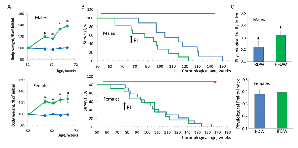 Sex-specific effects of HFD on lifespan and health of NIH Swiss mice. (A) HFD-induced body weight gain in male and female mice. Feeding HFD results in 40% and 30% increase in body weight in males and females respectively (pB) Feeding HFD reduces lifespan of male mice from 121.1+9.2 to 91.5+5.9 weeks (p=0.008, Kaplan-Meier log-rank test) but had no effect on longevity of female mice (109.6 +6.9 and 104.9+7.7 weeks for mice fed regular or high fat chow respectively). Blue line – regular diet; green – HFD. Red arrow indicates the period of time when mice received HFD. Black arrow indicates time when PFI was measured (at the age of 78 weeks). (C) PFI created at 78 weeks of age using 16 or 18 parameters for male and female mice respectively. Feeding HFD significantly increases PFI of male (p=0.019, Student’s t-test) but not female mice. RDW - regular diet in combination with water (group 1), HFDW – HFD in combination with water (group 3).