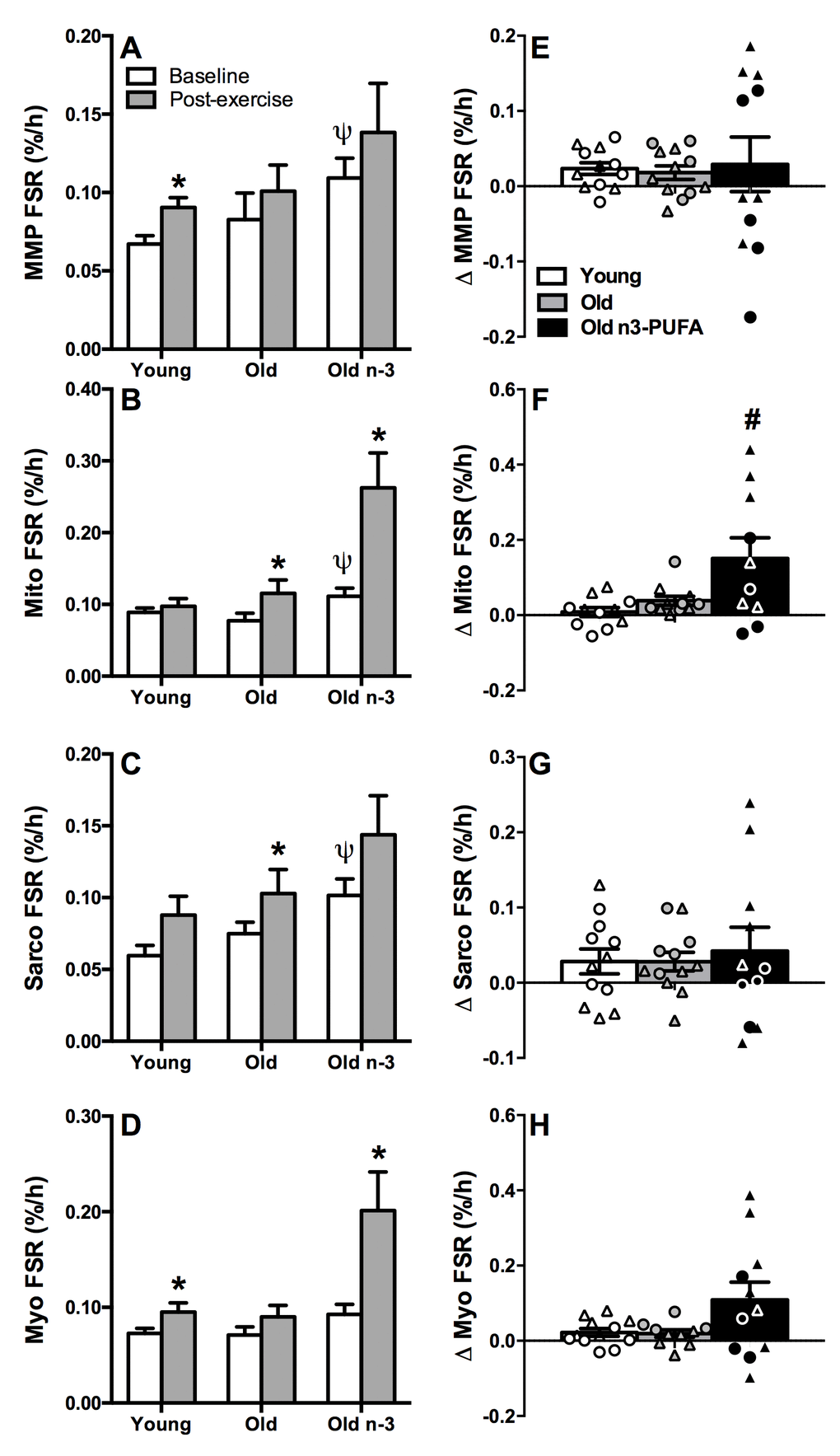 Postabsorptive and exercise-stimulated muscle protein synthesis. Muscle protein synthesis was measured from the rate of incorporation of isotopically labeled amino acid into muscle proteins. Protein synthesis was measured at baseline (postabsorptive) and 15-18 hours following a single bout of exercise for mixed muscle (MMP) (A, E), mitochondrial fraction (Mito) (B, F), sarcoplasmic fraction (Sarco) (C, G), and myofibrillar fraction (Myo) (D, H). Postabsorptive protein synthesis was similar in young and old in all fractions. Mixed muscle and myofibrillar protein synthesis increased with exercise in young but not old. Mitochondrial and sarcoplasmic protein synthesis increased with exercise in old but not young. n3-PUFA supplementation increased mitochondrial and myofibrillar protein synthesis after exercise. The change in FSR (Δ=post exercise-baseline) is shown in the right panel (E-H), illustrating responders and non-responders. * Significantly (p≤0.05) different from corresponding baseline value. Ψ Significantly different from corresponding pre-intervention value. # Significantly different from young. Data bars are mean ± SEM. Circles denote men and triangles denote women.