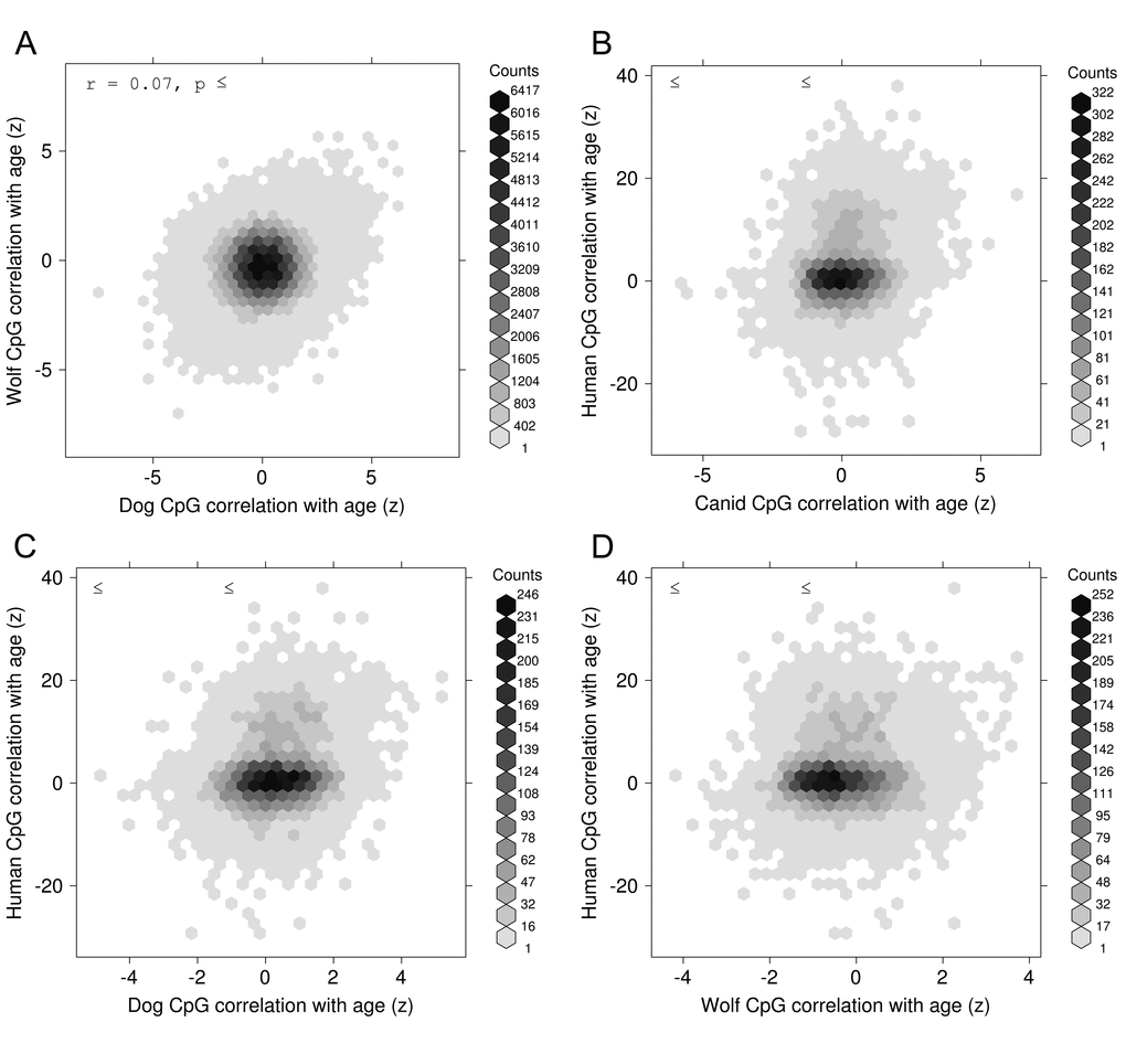 Conservation of epigenetic aging. Normalized correlation (z) between age and DNA methylation for CpG sites in one species versus the same correlation computed at syntenic CpG sites in another species. The species comparisons are shown, as follows: (A) Wolves versus Dogs, (B) Human versus Canid (pooled dogs and wolves), (C) Human versus Dogs, and (D) Human versus Wolves.