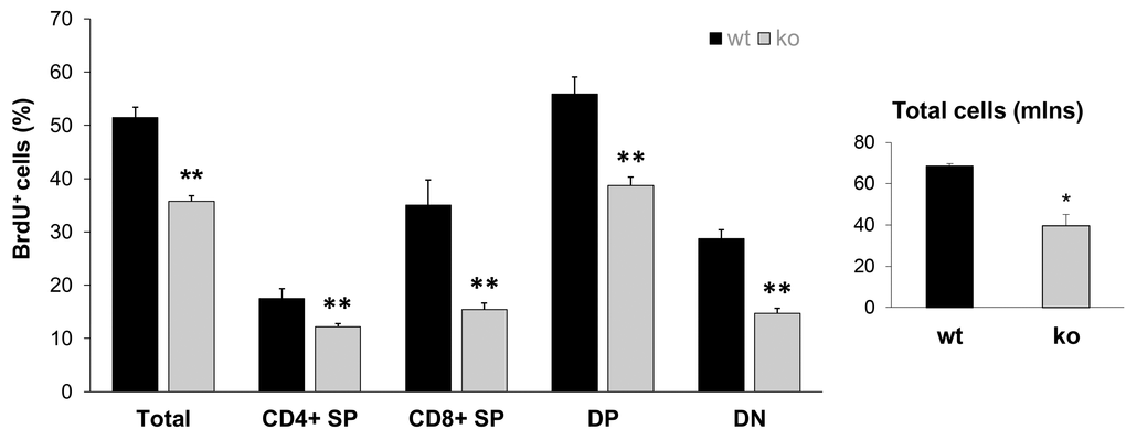 Lower proliferative capacity of Fus1 KO thymocytes revealed their lower renewal potential. Proliferation capacity was estimated by calculating the ratio of BrdU-positive T cells to the total number of T cells. *p-value ≤ 0.05; **p-value ≤ 0.005 (Student's t-test, 2-sided unpaired). Data expressed as mean ± SEM (n = 4 mice/group).