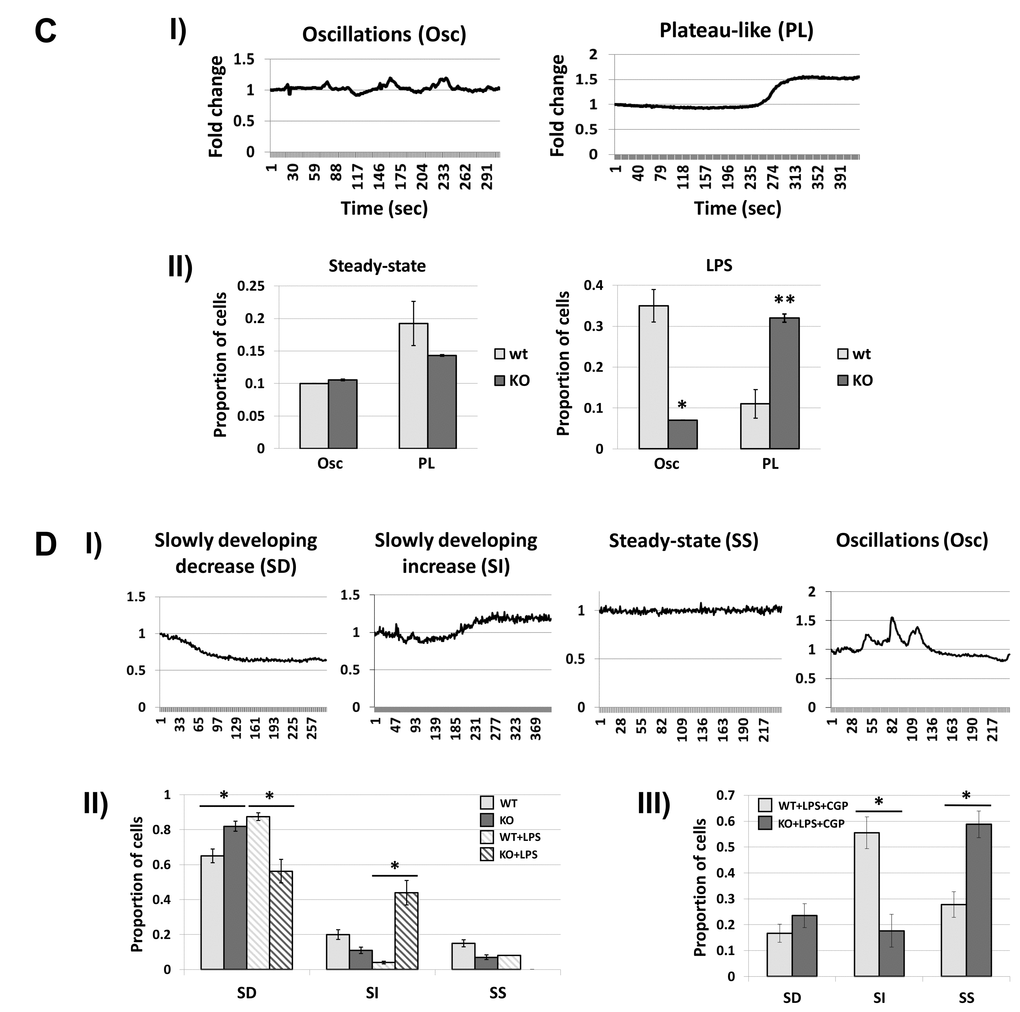 Fus1 KO cells show aberrant [Ca2+]c and [Ca2+]m responses to different stimuli that were improved by inhibiting the mitochondrial sodium/calcium exchanger (mNCX). (C) Steady state and LPS-induced [Ca2+]c profiles in WT and Fus1 KO MEFs. Panel I demonstrates major patterns of [Ca2+]c responses in WT and Fus1 KO primary MEFs at steady state and after LPS treatment detected by Fura-2 Ca2+-sensitive fluorescent dye. Panel II demonstrates the proportion of cells with Osc- and PL-type [Ca2+]c responses at steady state and after treatment with LPS (100 ng/mL). (D) Dynamics of basal, LPS- and CGP-induced [Ca2+]m responses in WT and KO primary MEFs. Panel I shows major patterns of [Ca2+]m responses at steady state and after LPS treatment (100 ng/mL) detected by MTG/Rhod-2 co-staining. Panel II shows the proportion of cells with SD-, SI-, and SS-patterns of [Ca2+]m responses in WT and Fus1 KO MEFs at steady state and after treatment with LPS (100 ng/mL). Panel III demonstrates the proportion of cells with SD-, SI-, and SS-patterns of [Ca2+]m responses after co-treatment of MEFs with LPS (100 ng/mL) and CGP37157 (CGP), an inhibitor of mitochondrial of Na+/Ca2+ exchanger. *p-value ≤ 0.05; **p-value ≤ 0.005 (Student's t-test, 2-sided unpaired). Data expressed as mean ± SEM.