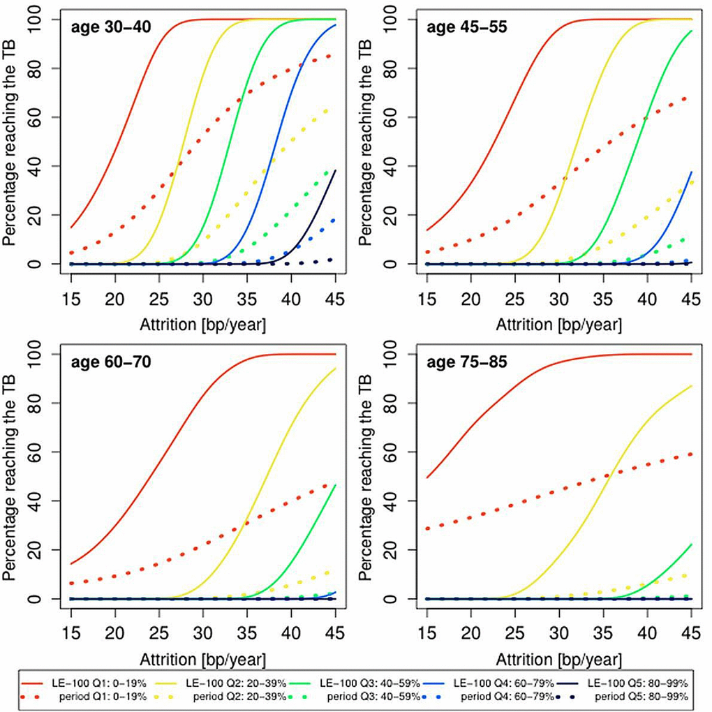 Predicted proportion of the composite study population reaching the telomere brink (TB; 5 kb) based on period life table mortality (period), life expectancy of 100 years (LE-100), LTL ranking and LTL attrition. Individuals were ranked by quintiles, where the shortest (1st) LTL quintile is 0-19% and the longest (5th) LTL quintile is 80-99%. The panels display findings for four age groups: 35 years (range 30-40 years); 50 years (range 45-55 years); 60 years (range 55-65 years); 80 years (range 75-85 years), based on different LTL attrition rates (15-45 bp/year).