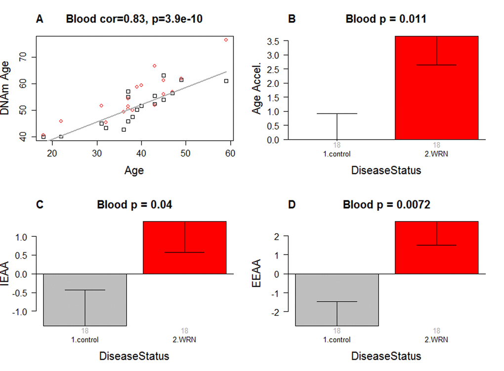 Epigenetic age analysis of Werner syndrome. (A) DNA methylation age (y-axis) versus chronological age (x-axis). Dots correspond to subjects and are colored by WS status (red=case, black=control). We define three measures of epigenetic age acceleration. (B) presents results for the "universal" measure of epigenetic age acceleration, which is defined as residual to a regression line through the control samples, i.e. the vertical distance of a point from the line. By definition, the mean age acceleration in controls is zero. (C) The bar plots relate measures of intrinsic epigenetic age acceleration to WS status. This measure is independent of blood cell counts. (D) shows findings for the measure of extrinsic epigenetic age acceleration, which does relate to changes in cell composition. Each bar plot depicts the mean value (y-axis), 1 standard error, and the group size (underneath the bar). The p-value results from the Kruskal Wallis test, which is a non-parametric group comparison test.