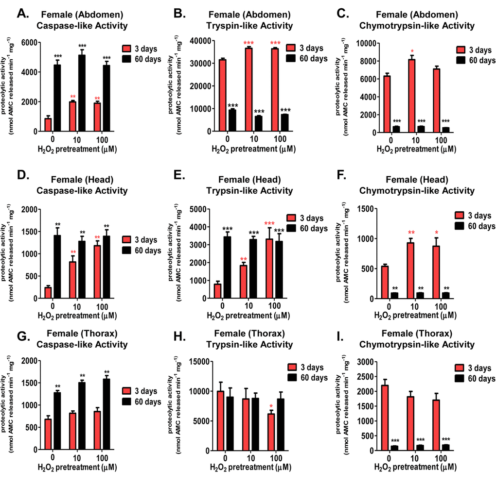 Tissue-specific differences of the adaptive proteolytic capacity, and age-dependent changes in basal activity, of the 20S proteasome in females. Body segments collected from female progeny of the Actin-GS-255B strain crossed to the w[1118] strain were used as controls, or were pretreated with either 10µM or 100µM hydrogen peroxide. Individual proteolytic capacity of the 20S proteasome (caspase/peptidyl glutamyl-peptide hydrolyzing-like activity, trypsin-like, and chymotrypsin-like activity) was measured in the abdomen, head, and thorax. (A-C) Abdomen isolated from 3 day old (pink) and 60 day old (black) females following hydrogen peroxide pretreatment. (A) Caspase-like activity. (B) Trypsin-like activity. (C) Chymotrypsin-like activity. (D-F) Head isolated from 3 day old (pink) and 60 day old (black) females following hydrogen peroxide pretreatment. (D) Caspase-like activity. (E) Trypsin-like activity. (F) Chymotrypsin-like activity. (G-I) Thorax isolated from 3 day old (pink) and 60 day old (black) females following hydrogen peroxide pretreatment. (G) Caspase-like activity. (H) Trypsin-like activity. (I) Chymotrypsin-like activity. Error bars indicate the standard error of the mean (S.E.M) values. * P P P *) for young females and black asterisks (black *) in aged females.