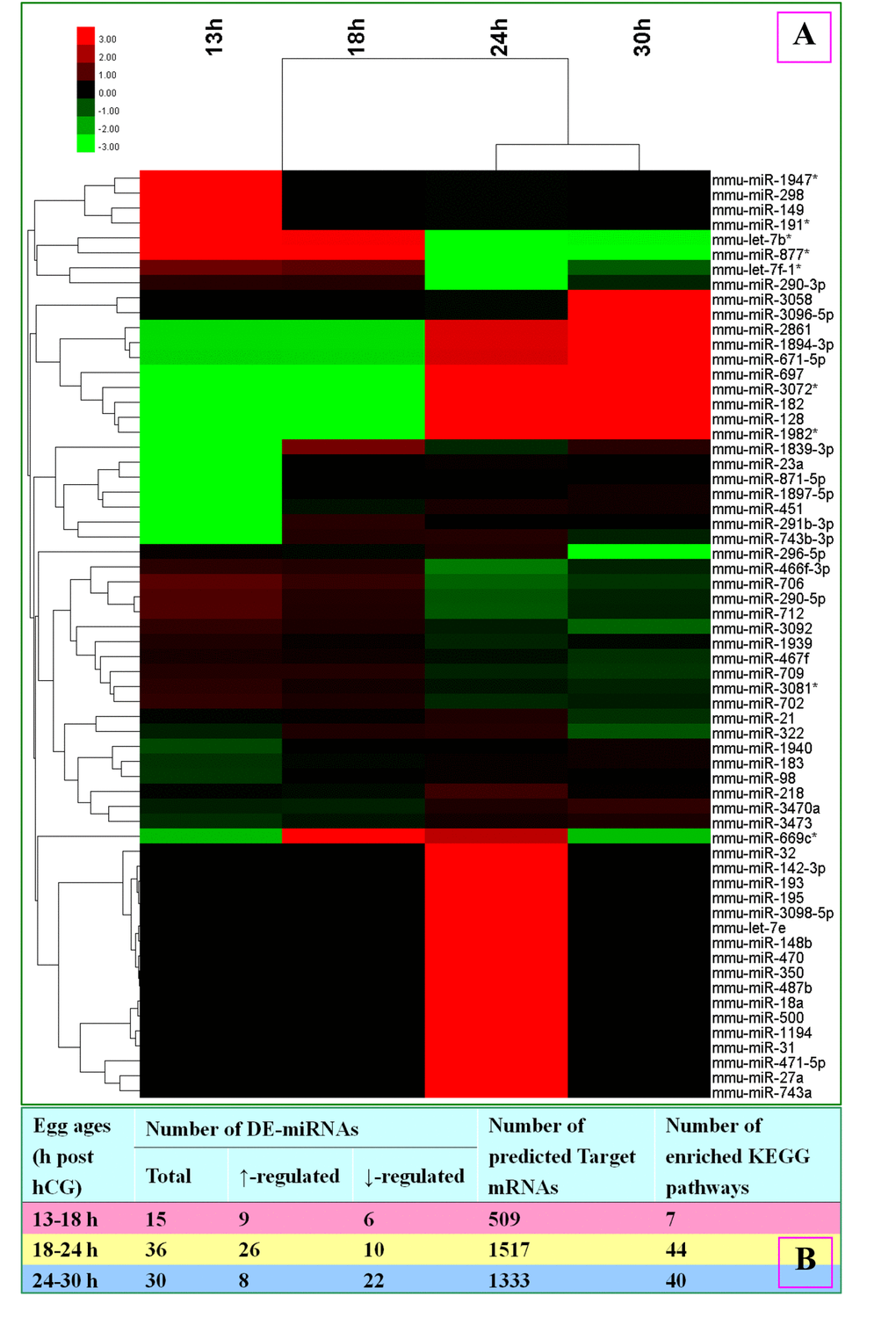 A microarray assay of miRNA expression profiles and a KEGG pathway enrichment analysis of target mRNAs predicted from differentially-expressed (DE) miRNAs in mouse oocytes aging for different times. (A) Heat map and cluster analysis of miRNA expression in oocytes aging for different times. Red indicates high relative expression and green indicates low relative expression. Fold changes greater than 2 (FC>2) were used as threshold for miRNA differential expression. (B) A table shows number of DE miRNAs, number of target mRNAs predicted from DE miRNAs and number of enriched KEGG pathways in oocytes aging for different times.