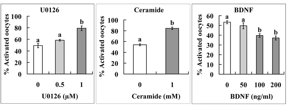 Effects of supplementation with U0126, ceramide or BDNF during in vitro aging on STAS of mouse oocytes. Cumulus-denuded oocytes (DOs) recovered 13 h post hCG injection were used. For U0126 and BDNF treatment, the DOs were aged for 36 h in CZB medium supplemented with different concentrations of U0126 or BDNF before ethanol and 6-DMAP treatment for activation. For ceramide treatment, DOs were microinjected with 6 pl DMSO alone (control) or DMSO containing 1 mM ceramide and then aged for 36 h in CZB medium before ethanol and 6-DMAP treatment for activation. Each treatment was repeated 4-5 times with each replicate containing about 30 oocytes. a,b: Values with a different letter above bars differ significantly (P 