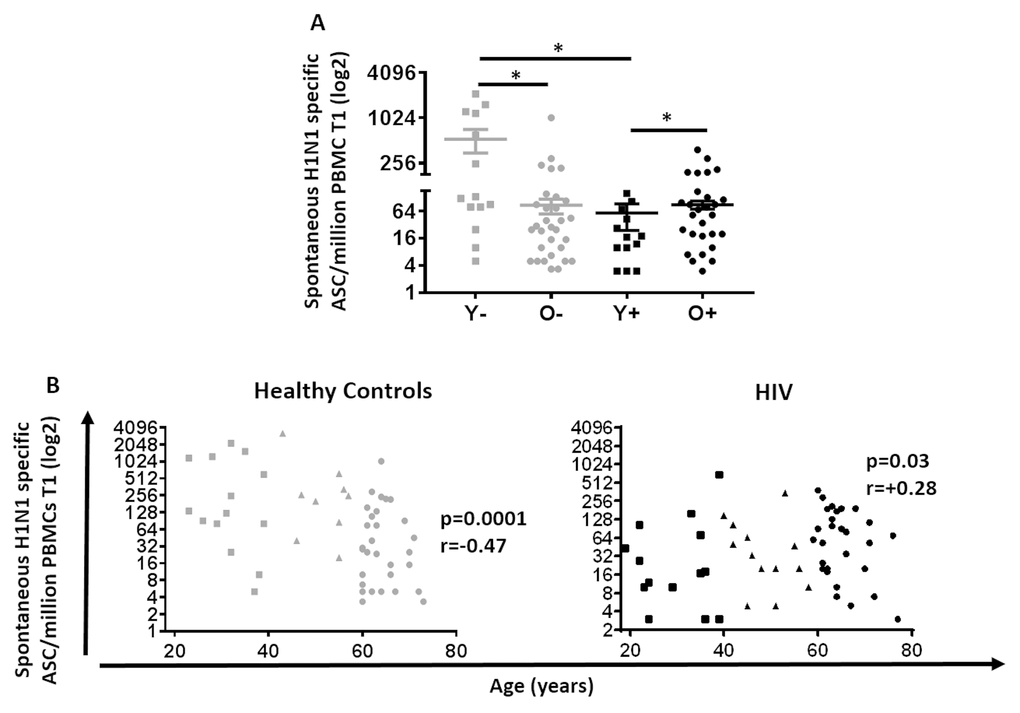 Spontaneous H1N1-specific ASCs at T1 in HIV (Black) and HC (Grey). (A) Mean ±SEM of H1N1 specific spontaneous ASC was assessed by ELISpot using PBMC 7 days after vaccination without any pre-activation. Mann-Whitney test was performed; *, Statistical significance at p B) H1N1 specific spontaneous ASC assessed in 60 Healthy controls (Left) and 64 HIV infected individuals (Right). ELISpot values are expressed as log2 scale. Age groups depicted as squares (young, 