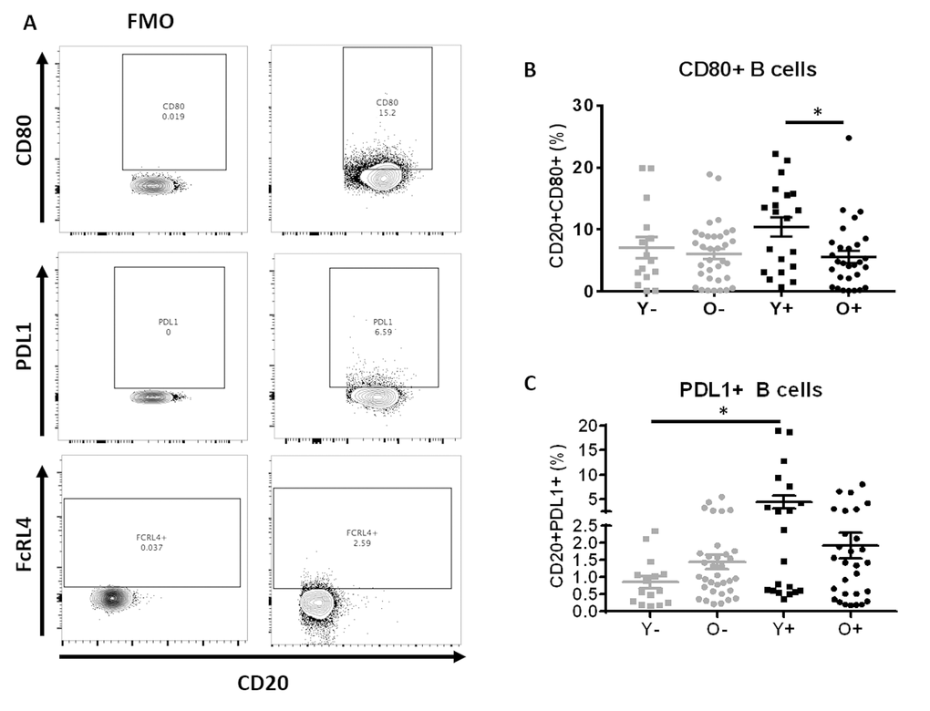 B Cells of young HIV exhibit markers of Immune activation and exhaustion. (A) Example of gating strategy for CD80+, PDL1+ and FcRL4+ B cells. (B) Frequencies of CD80+ B cell and (C) Frequencies of PDL1+ B cell in HC (Grey) and HIV (Black). Age groups are depicted as squares (young, 