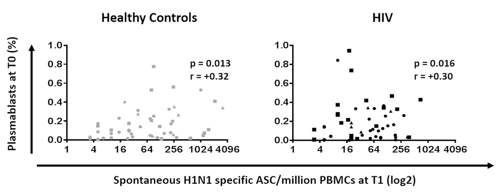 Plasmablasts at T0 are positively correlated with B cellular response to H1N1 in HIV (Black) and HC (Grey). Frequencies of plasmablast before vaccination were correlated with the H1N1 specific spontaneous ASC by ELISpot in PBMC at 7 days after vaccination. ELISpot values are expressed as log2 scale. Age groups depicted as squares (young, 