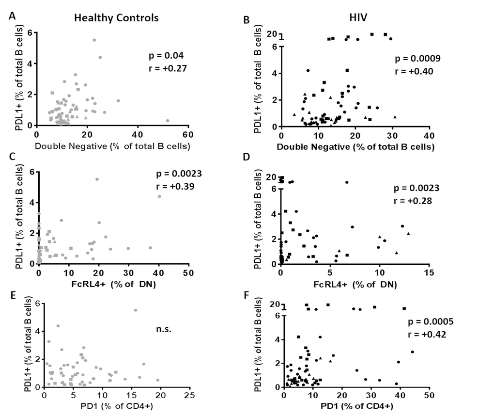 PDL1+ B cells are related to immune aging and exhaustion of B cells. Frequencies of PDL1+ B cells at T0 were correlated with (A, B) frequencies of double negative B cells; (C, D) frequencies of exhausted B cells (DN/FcRL4+) and (E, F) with frequencies of exhausted T cells (CD4/PD1+) in 60 healthy controls (Left, Grey) and 64 HIV infected individuals (Right, Black). Age groups are depicted as squares (young, 