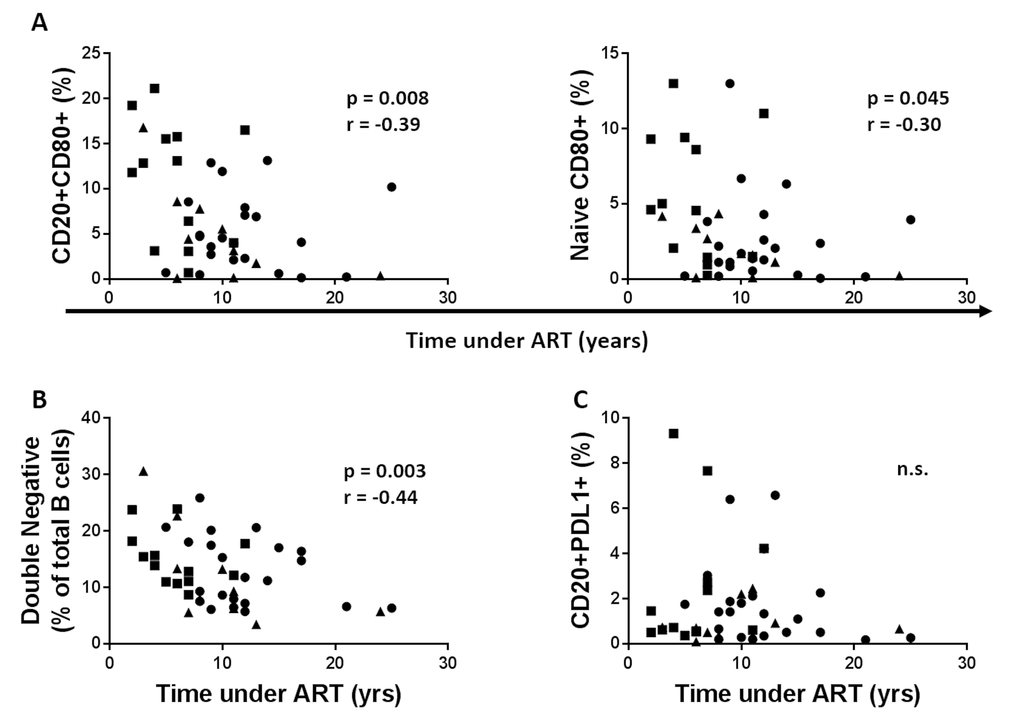 Time under cART reduces B cell immune activation and immune senescence but has no effect on PDL1 expression on B cells. (A) The frequency of the CD80+ B cells (Left) and CD80+ Naïve B cells (Right) before vaccination was correlated with duration of cART. (B) Frequencies of the double negative B cells were correlated with the years under cART. (C) Frequencies of the PDL1+ B cells at T0 were correlated with the years under cART. Age groups are depicted as squares (young, 