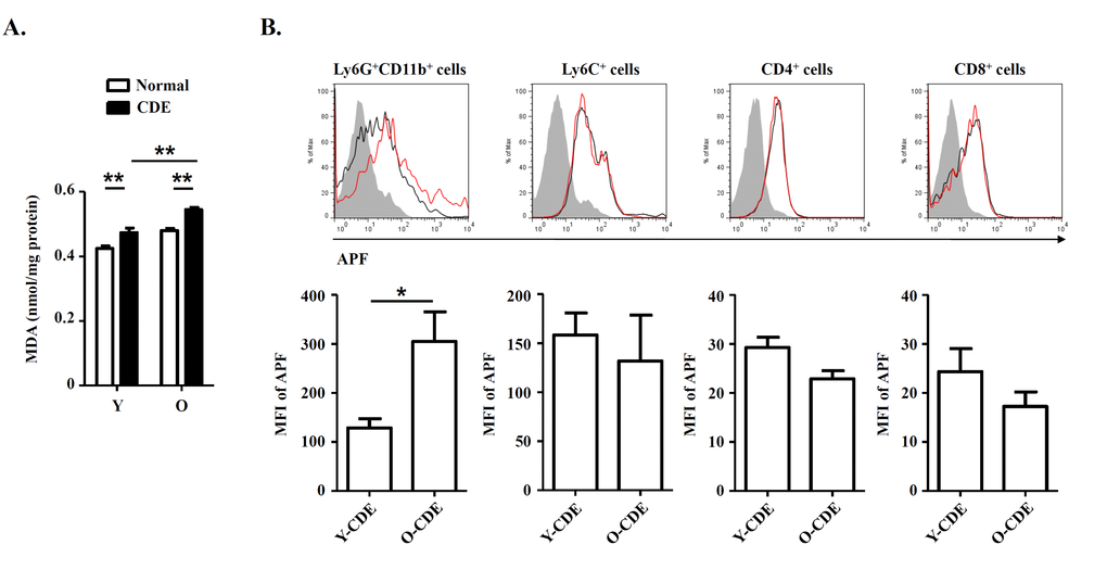 Oxidative stress in livers of O-CDE mice. (A) Hepatic lipid peroxidation was measured by MDA assay. Results are expressed as nmol MDA/mg liver protein. Results are mean ± SEM from three independent experiments (n > 6 mice per group). (B) Level of ROS as assessed by APF fluorescence in leukocytes isolated from Y/O-CDE mice. Results are mean ± SEM from three independent experiments (n = 4 mice per group). *P P 