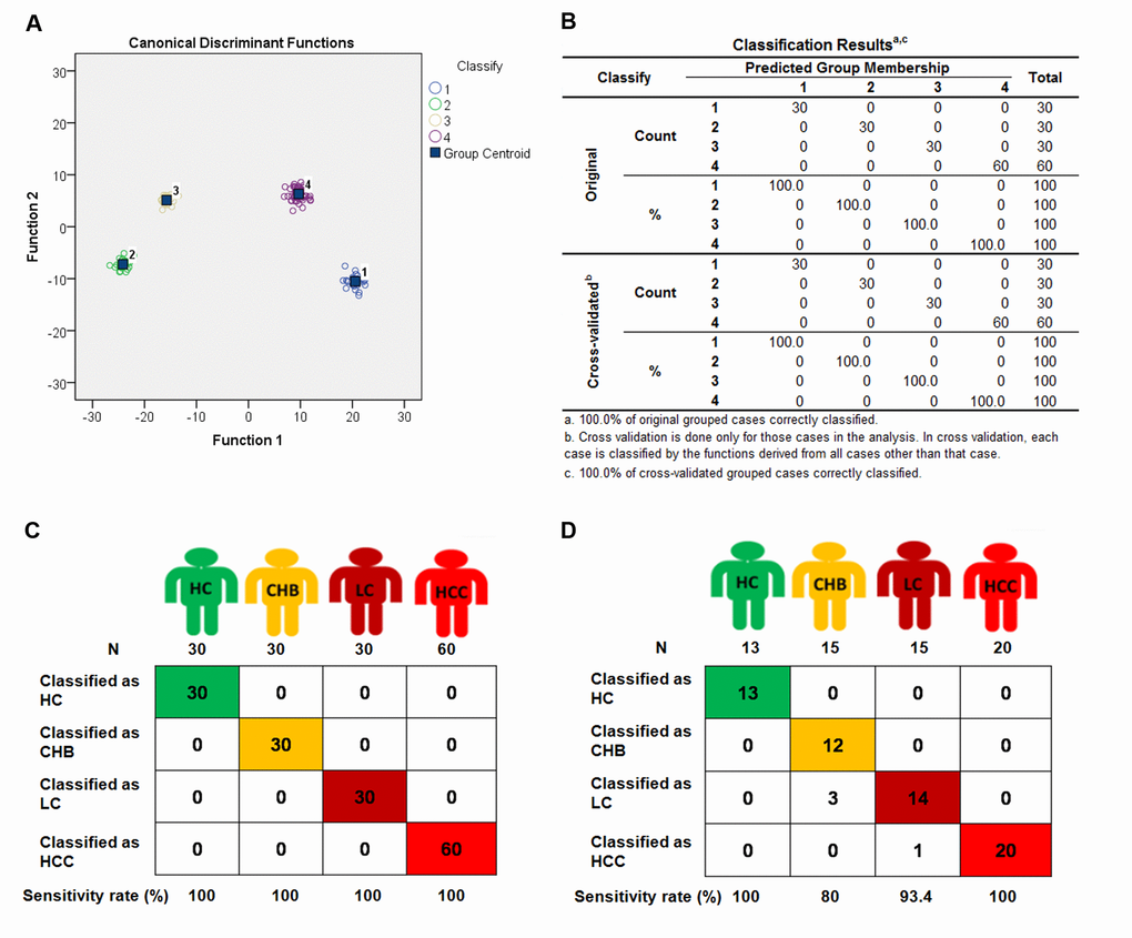 The 4 different groups were classified by 88-miRNA signature in discovery and validation sets. Fisher discriminant analysis (Stepwise discriminant method) of Health control (HC), chronic hepatitis B (CHB), liver cirrhosis (LC) and hepatocellular carcinoma (HCC) subjects was performed to establish a 88-miRNA signature in the discovery set. With the 88-miRNA signature, HC, CHB, LC and HCC groups were classified and presented with classification plot (A), classification table (B), and classification sketch (C) in the discovery set. (D) The HC, CHB, LC and HCC groups were classified by the signature in validation set and presented with classification sketch.