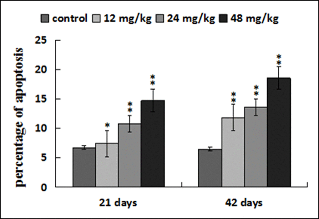 Percentage of apoptosis in the liver. Data are presented with the mean ± standard deviation (n=8). *p p 