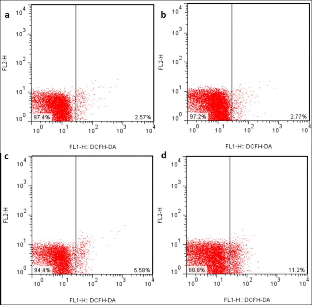 ROS production levels in the liver at 21 days of the experiment. Control group (a), 12mg/kg (b), 24mg/kg (c), 48mg/kg (d).