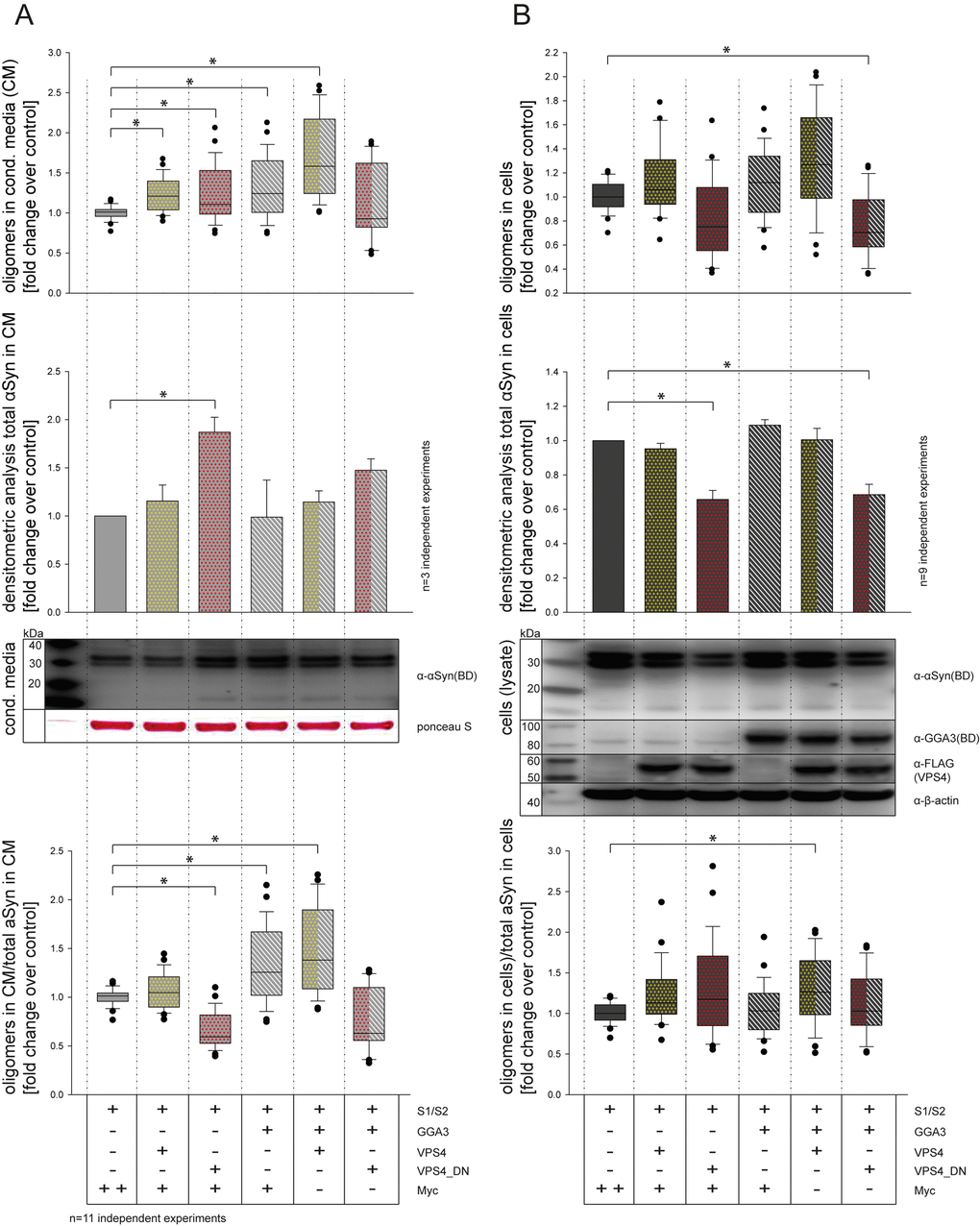 GGA3 and VPS4 have additive effects on α-syn oligomer secretion. CM from N2A cells co-expressing S1/S2 and either empty control vector, GGA3, VPS4 and VPS4