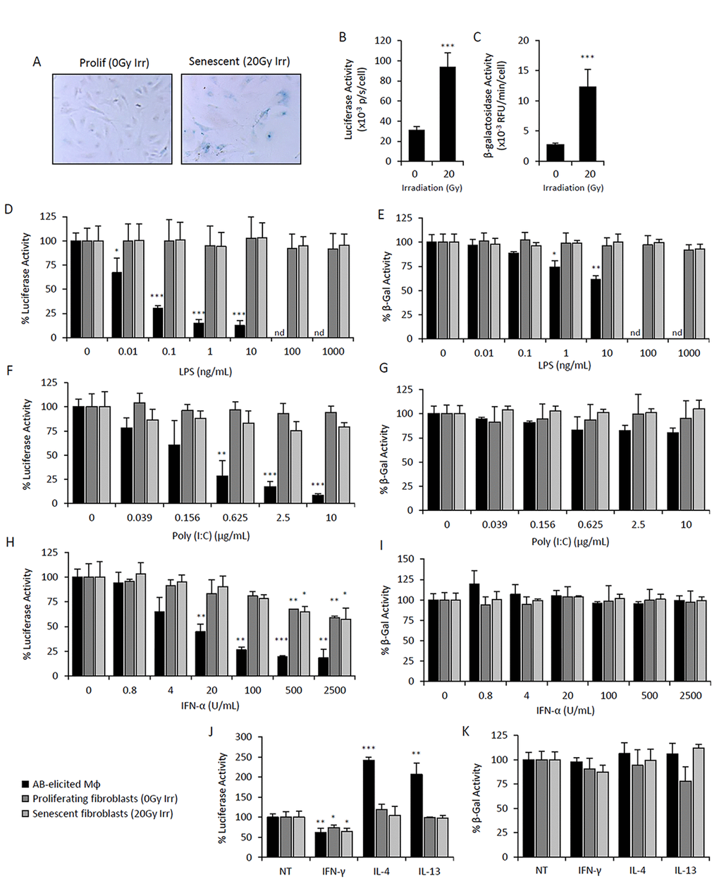 Elevated p16Ink4a and β-galactosidase is regulated by immunomodulatory agents in macrophages but not mesenchymal SCs. Primary cultures of adipose-derived mesenchymal stromal cells (AdMSC) isolated from p16Ink4a/Luc mice were irradiated (20Gy) and cultured for 10 days for senescence induction. Mock irradiated cells were passaged and used as a proliferating cell control. Response of senescent and proliferating AdMSCs to immunomodulatory agents were compared to that of peritoneal lavage cells elicited by the alginate bead model. (A-C) Characterization of senescent and proliferating AdMSCs. Microphotographs of SAβG-stained cells depicts positive staining of senescent cells, as well as an enlarged and flattened morphology, compared to that of proliferating cell control (A). p16Ink4a promoter-driven luciferase activity (B) and β-galactosidase activity measured via 4-MUG hydrolysis (C) were measured in senescent and proliferating AdMSCs, confirming senescent phenotypes. (D-K) Dose-response curves of LPS (D&E), Poly(I:C) (F&G), IFN-α (H&I), and IFNγ (10 ng/mL), IL-4 (20 ng/mL) and IL-13 (10 ng/mL) (J&K) on p16Ink4a promoter-driven luciferase activity (left panels: D,F,H& J) and β-galactosidase activity measured via 4-MUG hydrolysis (right panels: E,G,I&K) after 72hr treatment. No effect on viability was observed via CyQuant Direct assay (>80% viability). Results are shown as the mean ± standard deviation for at least 3 experiments, with statistical comparison to non-treated controls; *, p-value 