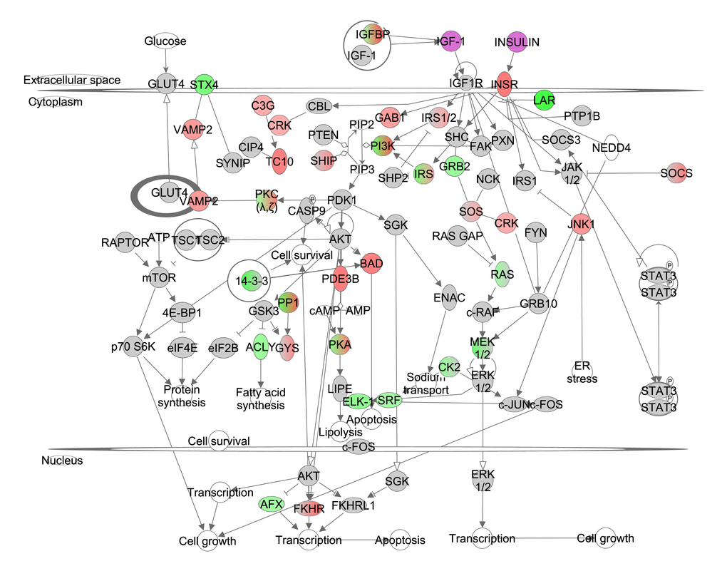 File:CAOB formation hypothesis 1.png - Wikimedia Commons