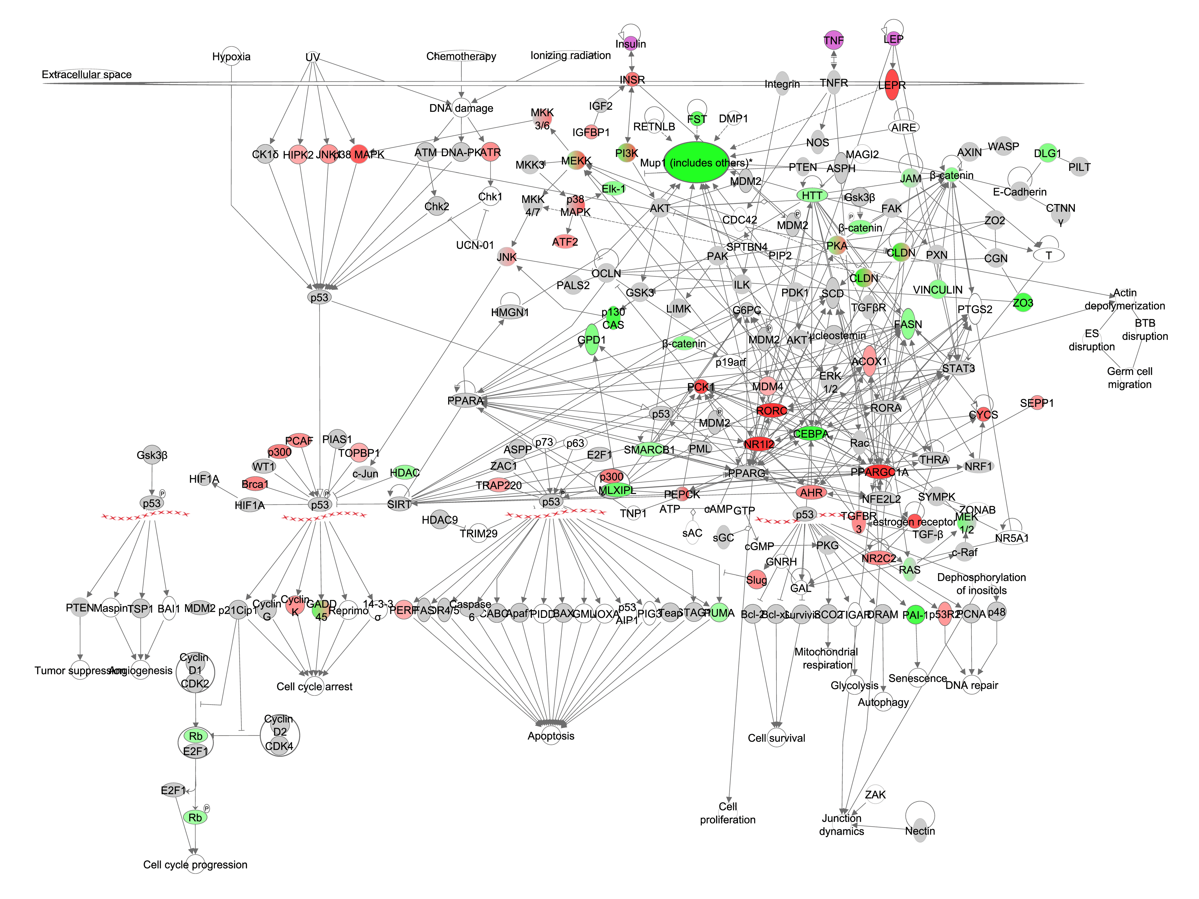 class="figure-viewer-img"