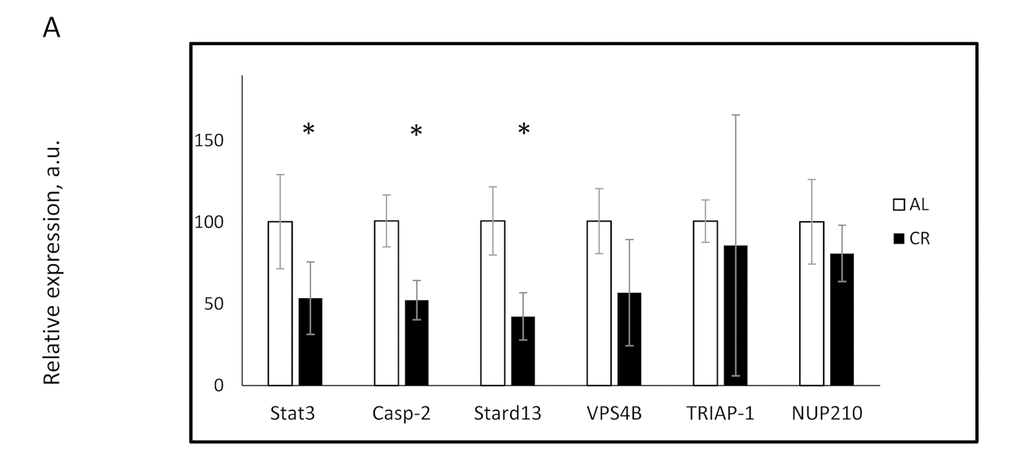 CR affected the expression of miR-125a-5p targeted genes in the mouse liver. The expression of indicated mRNAs was assayed in the livers of mice on AL (open bars) or CR (black bars) diets. * - statistically significant difference (p