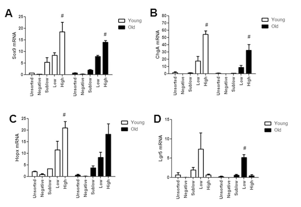 Isolated Sox9-EGFP cell populations from young and old mice are enriched for known biomarkers associated with specific population. Sox9-EGFP cell populations isolated using FACS underwent high throughput qRT-PCR for the genes (A) Sox9, (B) ChgA, (C) Lgr5, (D) Hopx. n≥3 animals per group, #p