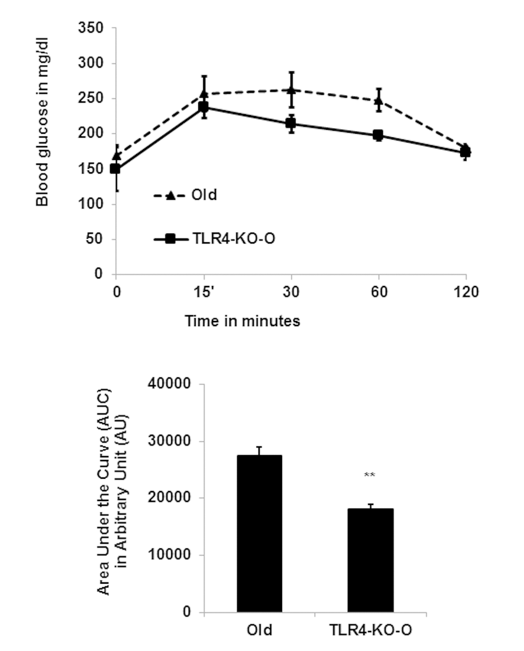 TLR4 deficient mice are more efficient in IPGTT. (A) Time course of blood glucose concentration following intraperitoneal glucose load in old WT and in TLR4 deficient mice. The area under the curve (AUC) were calculated using the trapezoidal formula and plotted in the bar diagram (B). Data represented in bar diagrams are mean + SD of three independent experiments with WT and TLR4-KO mice (n=4). Significance of difference between means was determined by Student’s t-test and indicated **p