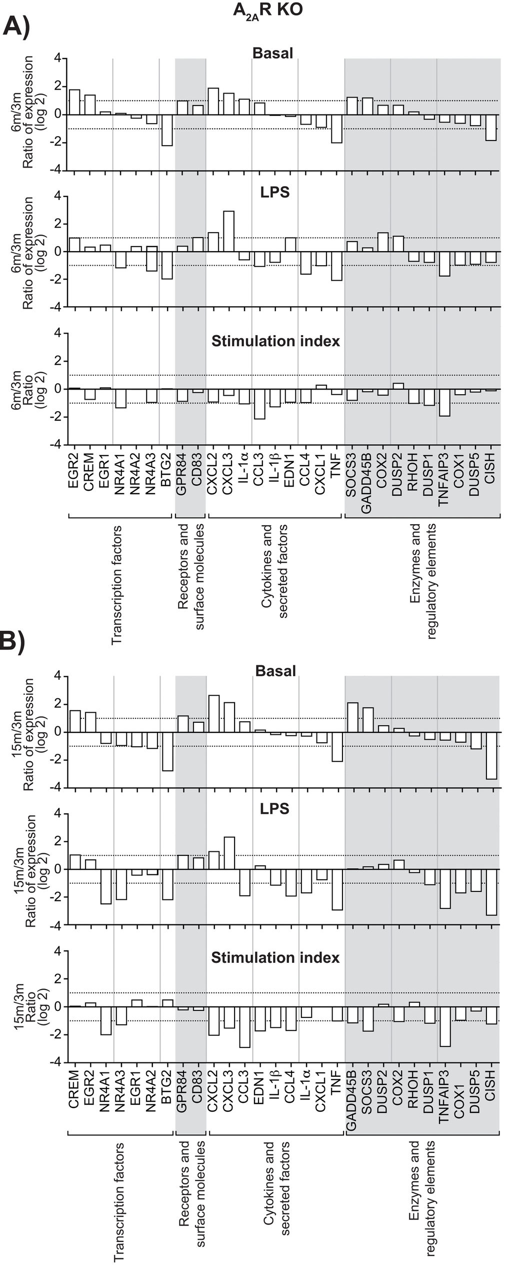 Effect of age on gene expression in leukocytes recovered from dorsal air pouches raised on A2AR KO mice. Please refer to the legend for Figure 3.