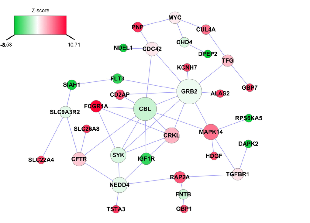 Inflammatory ∆age-related subnetwork derived from protein-protein interaction. Each node represents one gene, whereas each edge represents the interaction between two genes. The nodes were colored to represent their association with inflammatory ∆age by z-score: red represents genes that were positively associated with inflammatory ∆age, whereas green represents genes that were negatively associated with inflammatory ∆age. The node size is proportional to the number of edges that the node connects to.
