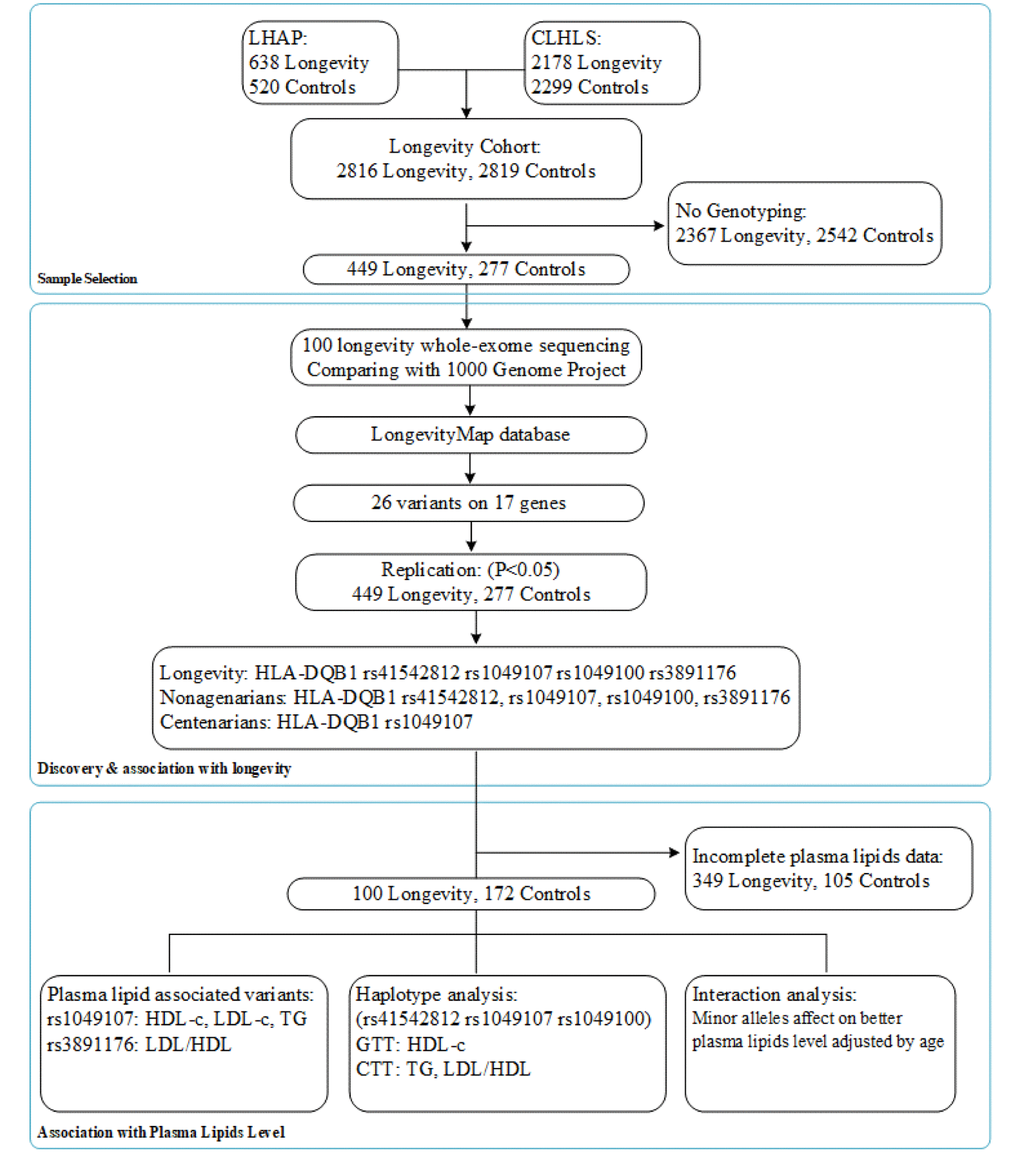 A ﬂow chart of the consecutive analysis steps.