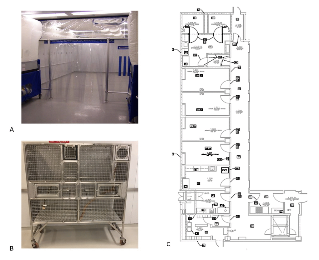 (A) Barrier space at the Barshop Institute with bioBubble airshower units. (B) Stainless steel marmoset breeding cage (LG). (C) Layout of converted BSL3 Barrier space for marmoset colony (* from - Nishijima et al., 2012).