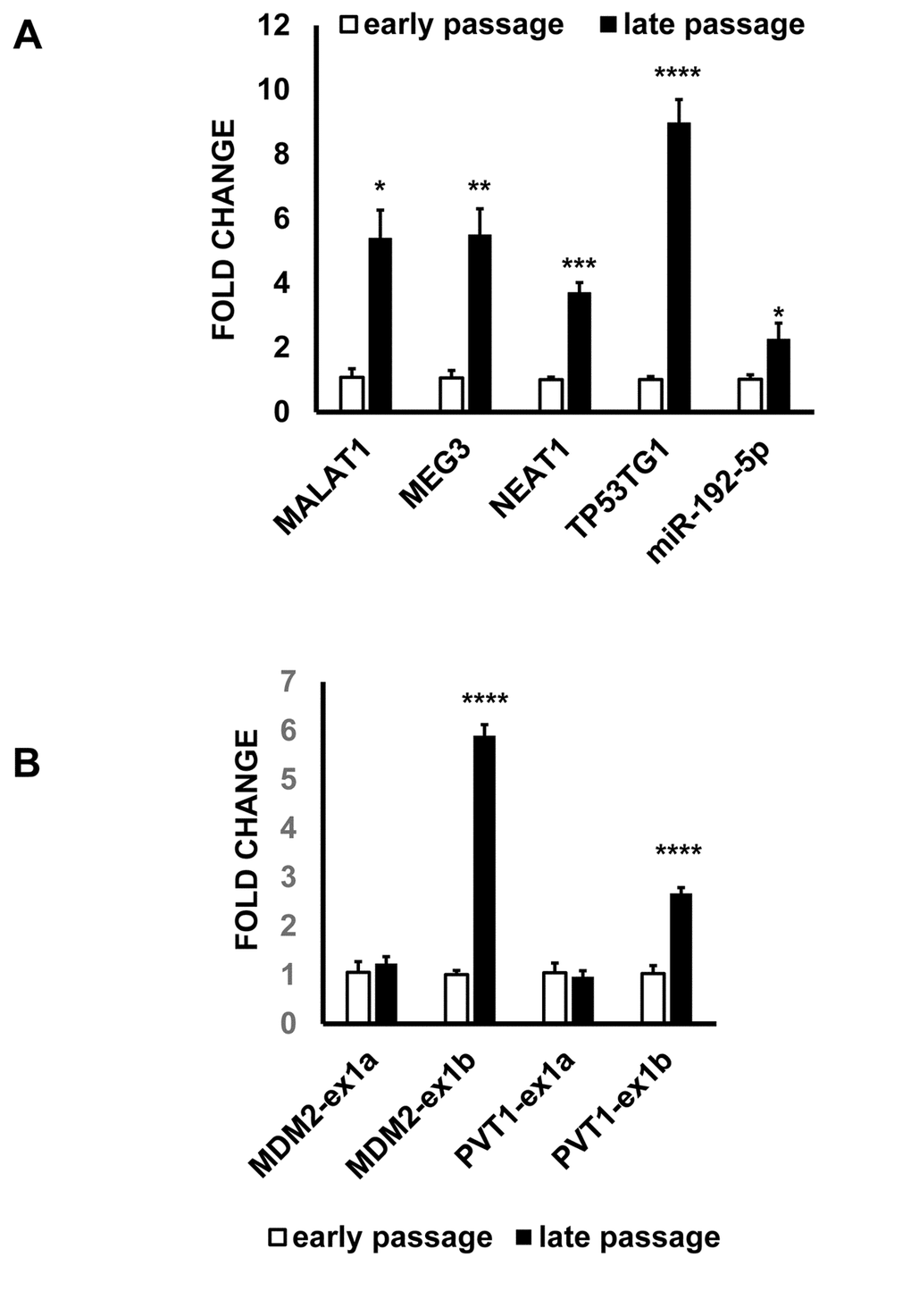 ncRNA alterations identified in H2O2-treated ECs are also present in senescent HUVEC. Total RNA was extracted from early and late passage HUVEC and the indicated RNAs were tested by qPCR. The bar graphs represent average values ±SEM (early passage n= 3, late passage n= 7; *pA) ncRNAs. (B) Differential exon usage. Exon 1b isoforms of MDM2 and PVT1 are p53-regulated.