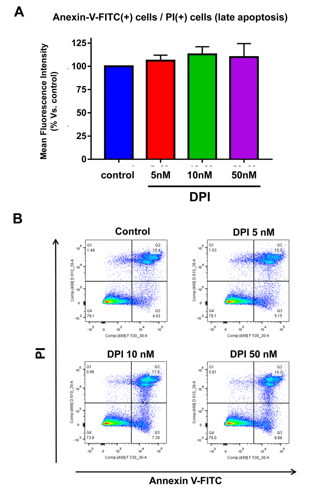 DPI is generally “non-toxic” and does not increase the apoptotic rate in MCF7 cell monolayer cultures. Briefly, 300,000 MCF7 cells were plated in 6-well plates in complete media supplemented with 10% HiFBS. On the next day, the cells were treated with DPI (5, 10, or 50 nM) for 24 hours. Vehicle alone (DMSO) for control cells were processed in parallel. At least 30,000 events were recorded by FACS using LSRII. The results presented are the average of three biological replicates analyzed in independent experiments and are expressed as mean fluorescence intensity. (A) Bar-graphs are used to summarize the overall results; (B) Representative FACS tracings are also shown. Note that DPI fails to significantly increase the apoptotic rate in MCF7 cell monolayers.