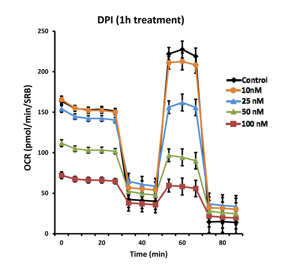 DPI rapidly induces the inhibition of mitochondrial respiration. Even with as little as 1 hour of DPI treatment, the mitochondrial oxygen consumption rate (OCR) was progressively reduced, over a concentration range of 10 to 100 nM, as seen using the Seahorse XFe96 Metabolic Flux Analyzer. Note that basal respiration was inhibited with an IC-50 of 50 nM.