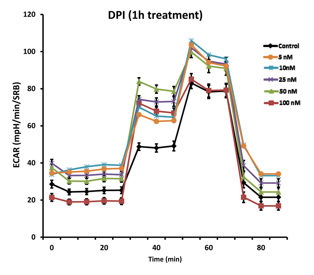 DPI rapidly induces a reactive glycolytic phenotype. Even with as little as 1 hour of DPI treatment, glycolysis was progressively increased, over a concentration range of 5 to 100 nM, as seen using the Seahorse XFe96 Metabolic Flux Analyzer. Note that glycolysis was effectively doubled.