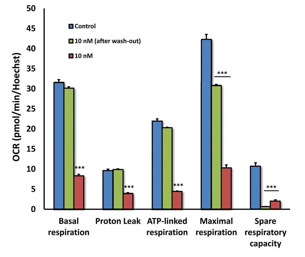 The inhibitory effects of DPI on mitochondrial respiration are reversible: Focus on 10 nM. As in Figure 12, except that Panel C is shown instead as a series of bar graphs, to better illustrate and separate the different metabolic parameters.