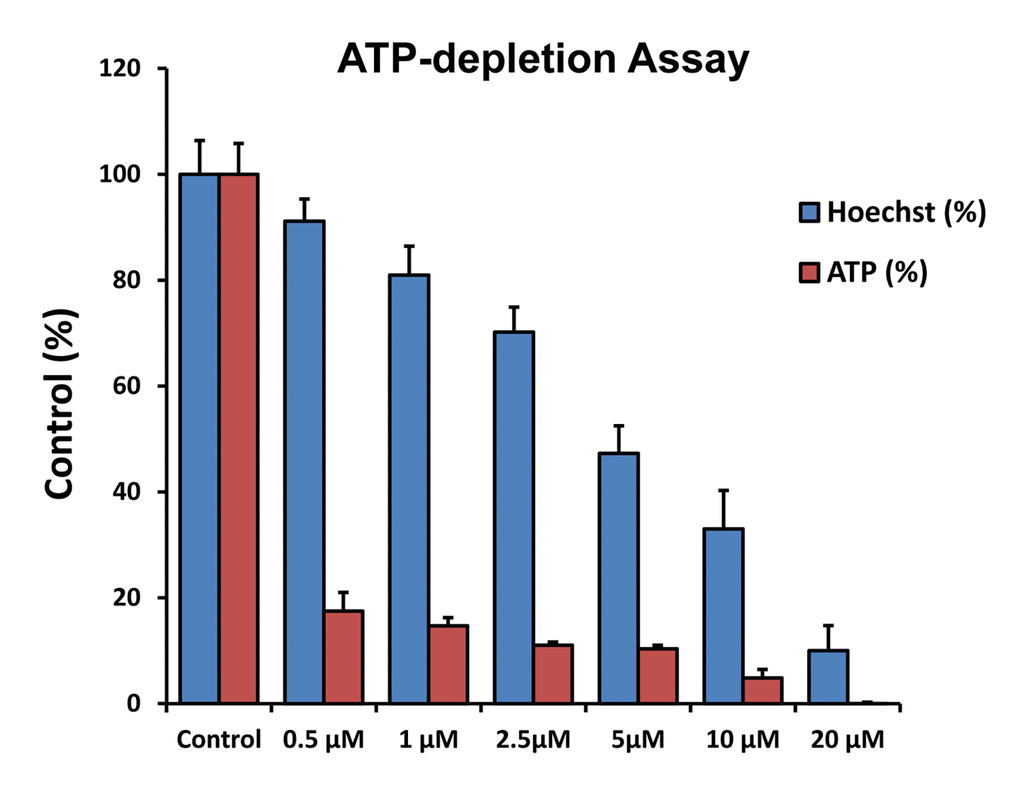 DPI selectively depletes ATP without inducing massive cell death. MCF7 cells were treated with DPI for 72 hours and were first subjected to fluorescent Hoechst staining (DNA content) and then to the luminescent measurement of the ATP content in the same wells, using CellTiter-Glo as a probe. Note that at 72 hours, 500 nM DPI selectively depletes ATP levels by >80%, but does not significantly induce cell death, as the number of cells attached to the plate remains the unchanged (as detected by DNA content).