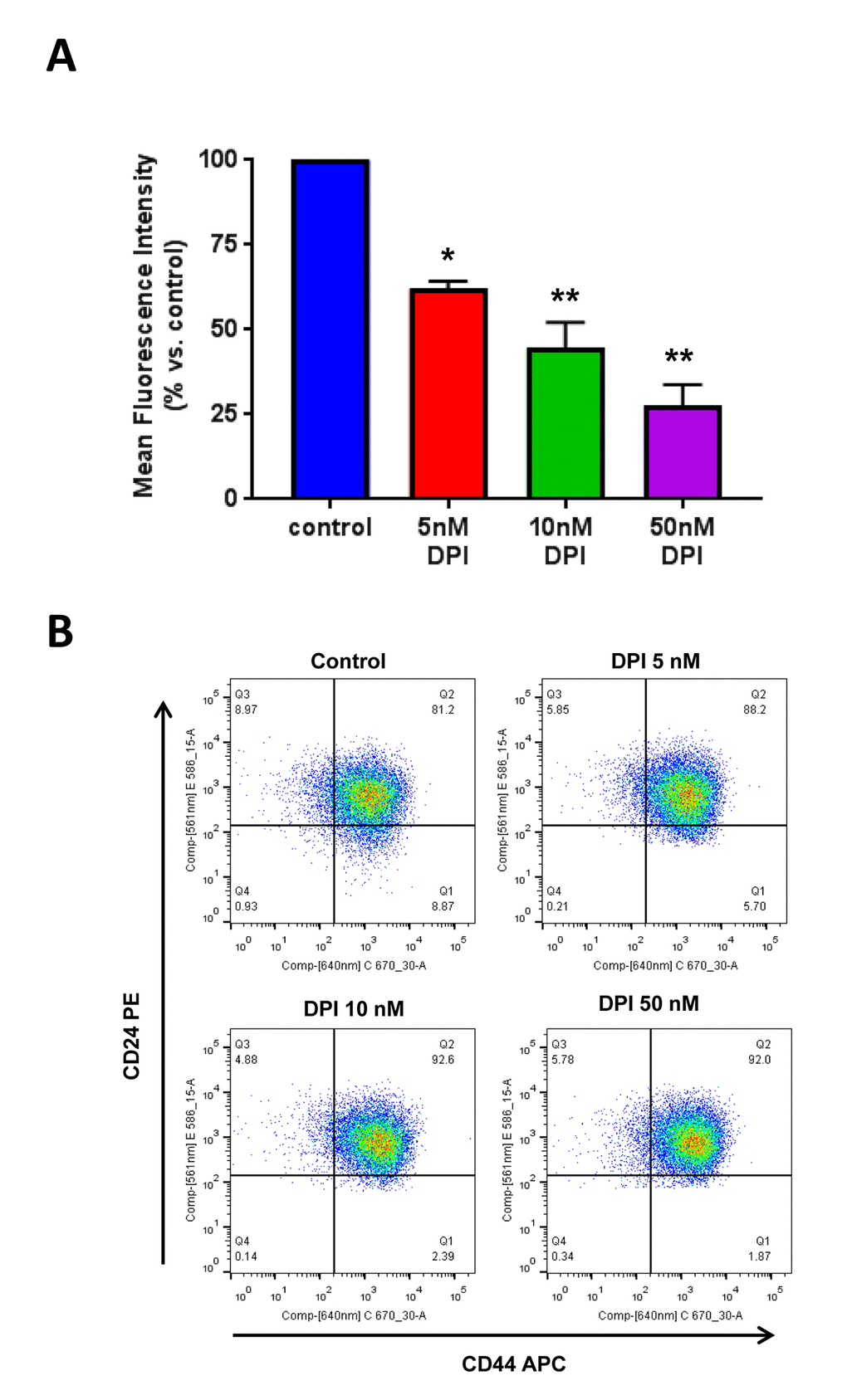 DPI selectively eliminates CSCs from the total cell population. MCF7 cells were cultured for 5 days as monolayers, in the presence of DPI (5, 10 and 50 nM). Then, the cells were harvested and subjected to FACS analysis to determine the levels of CSC markers. Panel (A) shows that the CD44+/CD24- cell population (which serves as a marker for breast CSCs) is dose-dependently reduced by DPI treatment, with an IC-50 of 10 nM. Panel (B) contains dot plots showing the double fluorescent CD44+/CD24- FACS assay. Note that the signal has significantly decreased in the lower right quadrant (Q1), after DPI treatment. * p