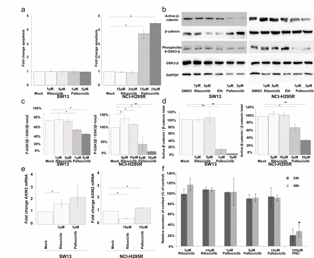 Palbociclib induces apoptosis in NCI-H295R cells by targeting the Wnt/β-catenin pathway. (a) Bar graphs showing apoptosis fold change in SW-13 or NCI-H295R cells upon treatment with either palbociclib or ribociclib. Caspase 3/7 activity was used as a read out to measure apoptosis. Results are the mean and standard deviations estimated based on three independent experiments. (b) Active β-catenin, total β-catenin, phospho-Ser9-GSK3β and total GSK3β were detected by western blot upon treatment with either palbociclib or ribociclib in both cell lines. GAPDH was used as a loading control. (c and d) Bar graphs showing the relative amount of phospho-Ser9-GSK3β on total GSK3β (c), or active β−catenin over total β-catenin (d) in both cell lines. Results are the mean and standard deviations based on two independent experiments. (e) Bar graphs showing levels of AXIN2 mRNA upon treatment with either palbociclib or ribociclib, in both cell lines. The values indicate the fold-change of mRNA levels after treatment with palbociclib or ribociclib, compared to mock-treated cells. AXIN2 mRNA levels in each condition were normalized to ACTNB (β-Actin) mRNA levels. qPCR were performed in triplicate. Mean and standard deviation are based on three different experiments. (f) Bar graph showing levels of secreted cortisol in the culture medium of NCI-H295R cells treated with ribociclib or palbociclib for 24 h and 48 h. Values are reported as percentage of concentration assayed with mock-treated cultures. Assay was performed in duplicate on culture media extracted from three different experiments. In (a), (c) and (d) Values are the mean ratio estimated from independent experiments. In (a), (c) and (d) significance was tested with t-test. In (e) and (f), significance was tested with the paired t-test. *PP