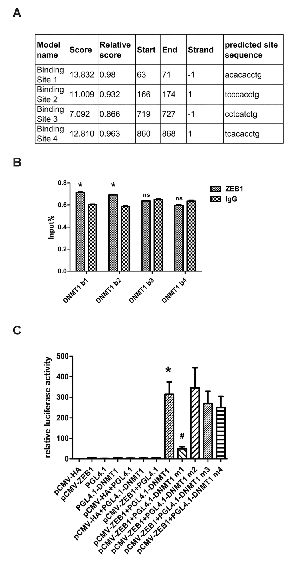 ZEB1 binds directly to the DNMT1 promoter and regulates its transcription. (A) Schematic showing the region of the DNMT1 promoter containing potential ZEB1 binding sites. (B) Chromatin immunoprecipitation data from HDFs incubated with either anti-ZEB1antibody or non-specific control IgG, showing the amplification of each of the four predicted ZEB1 binding sites within the DNMT1 promoter (termed DNMT1 b1, 2, 3, and 4). Experiments were performed in triplicate.* vs IgG, P 0.05. (C) Luciferase reporter assay data, showing the activity of either the wild type (WT)DNMT1 promoter or mutants lacking each of the predicted ZEB1 binding sites. Cells were transfected with the following plasmids: ZEB1: ZEB1-cDNA-expressing vector; WT DNMT1: reporter plasmid containing WT DNMT1 promoter; DNMT1 Mut1-4: reporter plasmids containing the DNMT1 promoter with putative ZEB1 binding sites 1-4 deleted. Experiments were performed in triplicate. * vs pCWV-ZEB1+pGL4.1, P