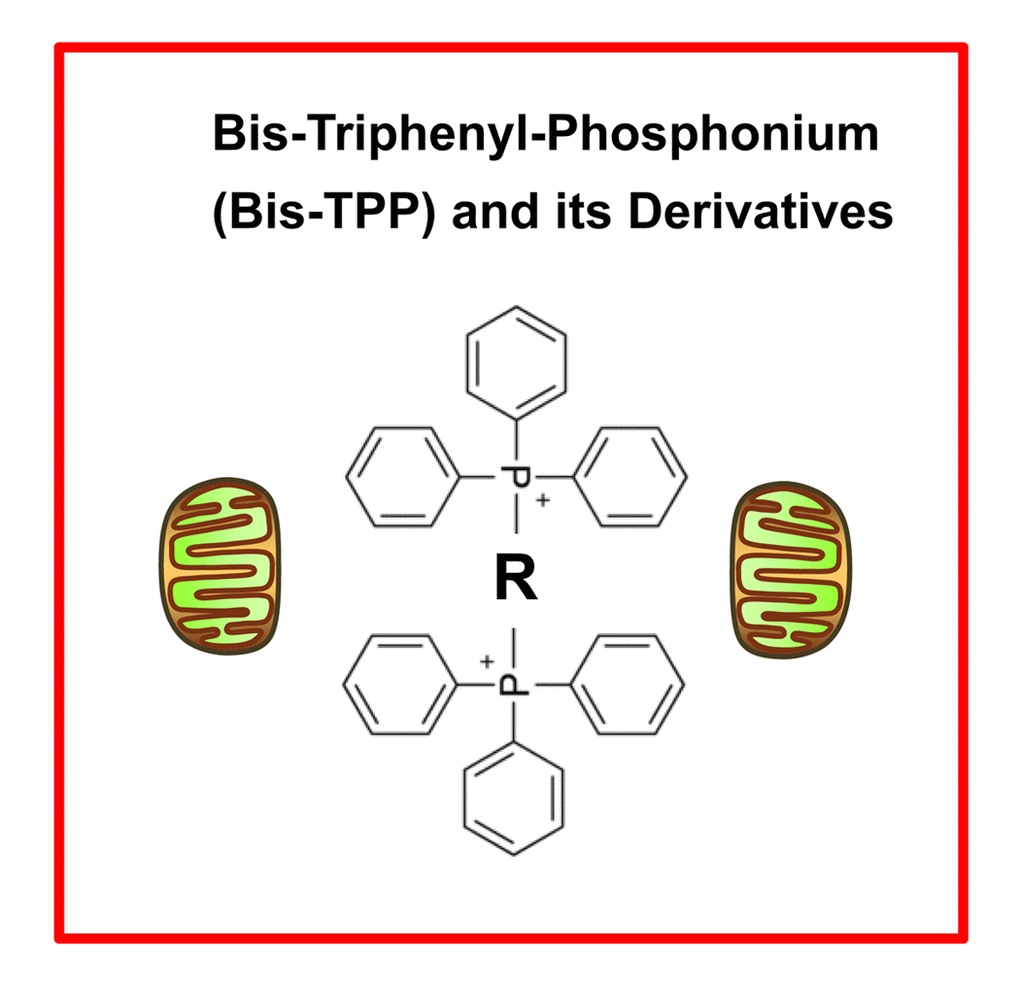 bis-TPP: A mitochondrial targeting signal (MTS) for eradicating cancer stem cells (CSCs). The “dimeric” structure of bis-TPP is shown, where R represents any chemical group or moiety.