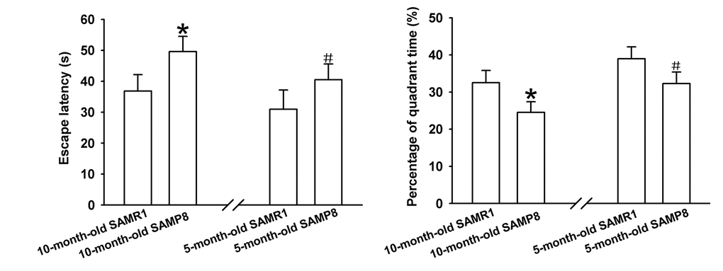 Learning and memory ability evaluation by MWM test. (A) Mean escape latency of four-day training. (B) The percentage of time spent in the target quadrant on day 5. *P