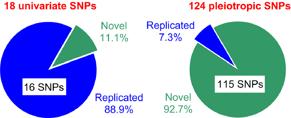 Summary of SNPs identified in the univariate and pleiotropic meta-analyses. Green and blue colors denote novel and replicated SNPs, respectively.