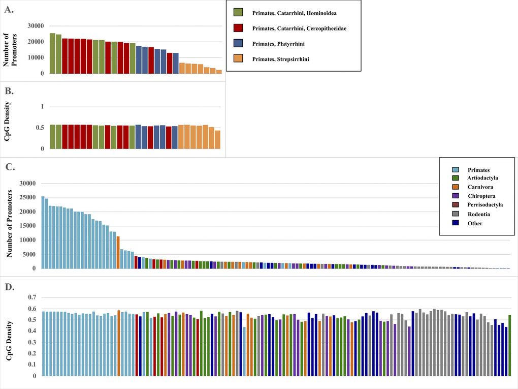 Promoter matches by species and GC content. (A) Total number of promoters identified by BLAST search of 28 primate genomes. (B) The associated GC content (%) of those promoter regions. (C) Total number of promoters identified from 131 primate genomes. (D) The associated GC content (%) of those promoter regions.