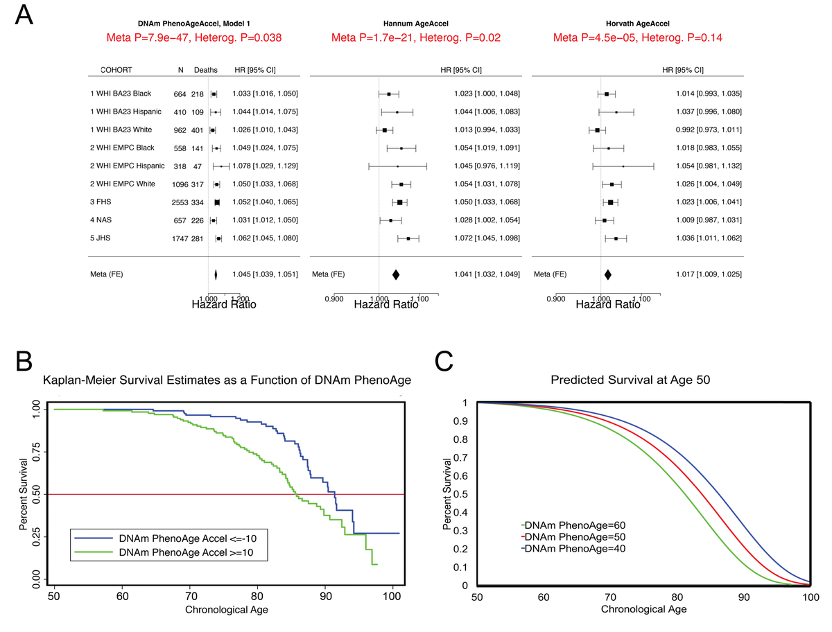 An biomarker of aging for lifespan and healthspan Figure