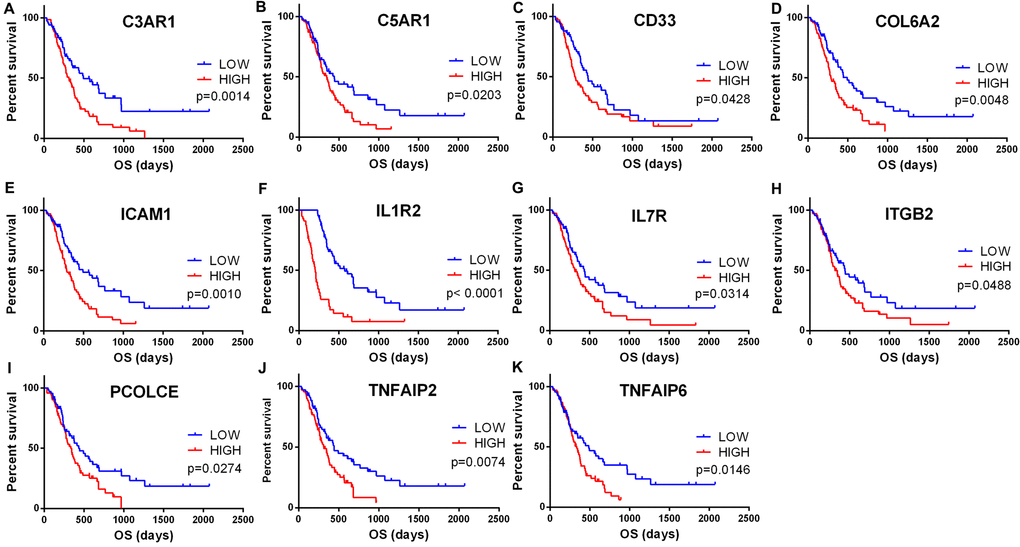 Validation of correlation of DEGs extracted from TCGA database with overall survival in CGGA cohort. Kaplan-Meier survival curves were generated for selected DEGs extracted from the comparison of groups of high (red line) and low (blue line) gene expression. p