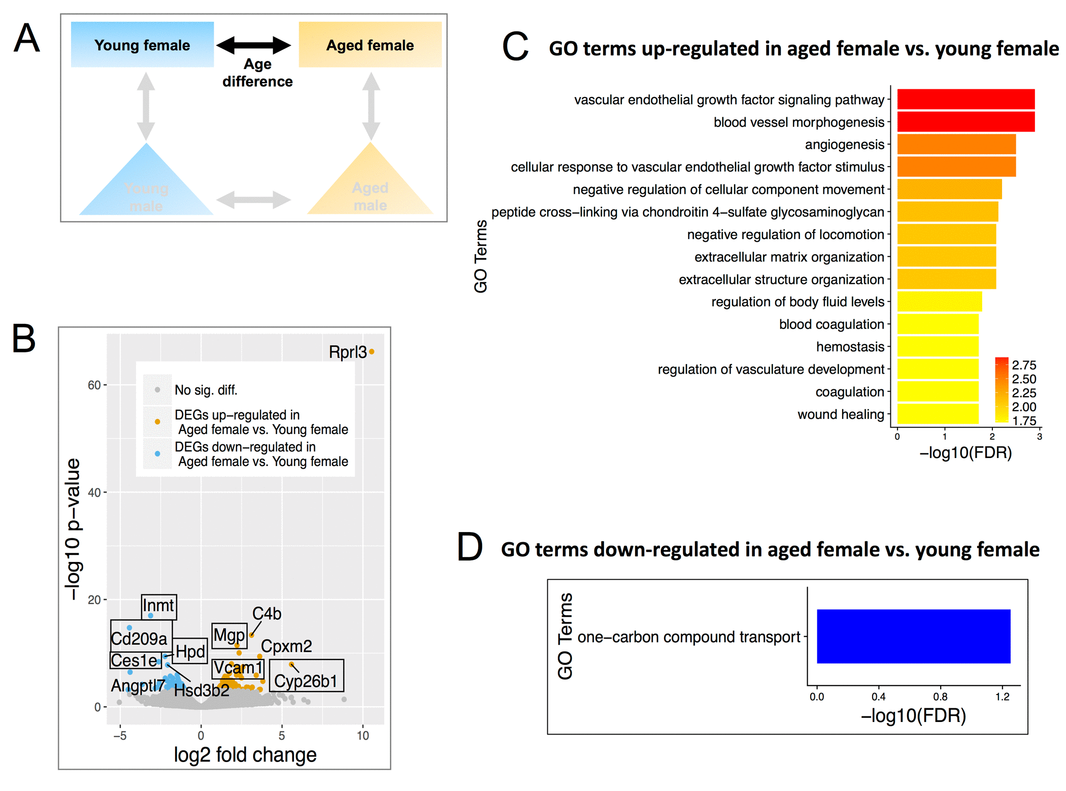 class="figure-viewer-img"