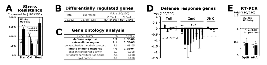 Imd AMP genes are downregulated in adult flies developed at 18°C. (A) Increased stress resistance of 2-day-old (white) and 30-day-old (black) male adult flies developed at 18 °C, which were compared from 2- and 30-day-old flies developed at 25 °C (0%), respectively. The median survival times of flies under each stress (starvation, oxidation or heat) were calculated from the survival curves of 3 ~ 5 independent experiments, and then the changed percentage is represented as average ± standard error of mean (SEM) following normalization with the median of flies developed at 25 °C (starvation: 28.2 and 11.1 hours; oxidation: 15.4 and 8.0 hours; heat: 15.3 and 1.7 hours of 2- and 30-day-old flies, respectively). P-value (*): Student’s t-test. (B) The gene expression analyses between 2-day-old male flies developed at 18°C and 25°C. From three independent microarray experiments, the fold changes of gene expression (18C/25C) were averaged with SEM. (C) With the genes changed more than 1.5 fold (total 176 in B), the gene ontology was analyzed using a DAVID web tool (http://david.abcc.ncifcrf.gov/home.jsp). %: involved genes/total 176 genes; p-value: a modified Fisher Exact. (D) Expressional changes of genes in Toll (Tl, Def, Drs-l, Drs, Mtk), Imd (imd, DptB, AttA, AttB, AttC, CecB, CecC, Dro) and JNK (bsk, GstD1, Thor) pathways from the microarray experiments (B). (E) RT and real-time PCR analyses of AMP genes in Imd pathway. Gene expression folds (18C/25C) of 2- and 30-day-old male flies were averaged from 4 ~ 8 independent experiments using four different RNA batches.