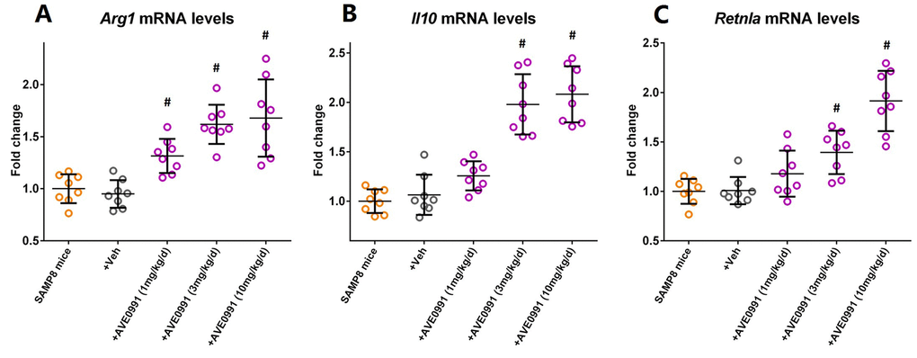 AVE0991 elevates microglial M2 activation makers in the brains of SAMP8 mice. Eight-month-old SAMP8 mice were injected intraperitoneally with vehicle or AVE0991 (1, 3 or 10 mg/kg/day) for 30 days. Afterwards, mice were sacrificed for analysis. (A) The mRNA levels of Arg1 in the brains were investigated by qRT-PCR. (B) The mRNA levels of Il10 in the brains were investigated by qRT-PCR. (C) The mRNA levels of Retnla in the brains were investigated by qRT-PCR. Gapdh was used as an internal control, and data were expressed as a fold change relative to non-treated SAMP8 mice. All data were analyzed by one-way ANOVA followed by Tukey’s post hoc test. Columns represent mean ± SD (n=8 per group). #P